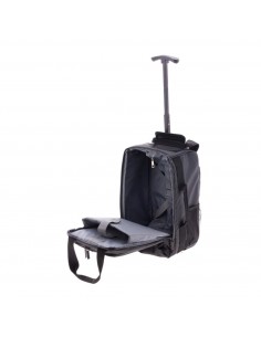 3958 polar mochi  R gladi 2