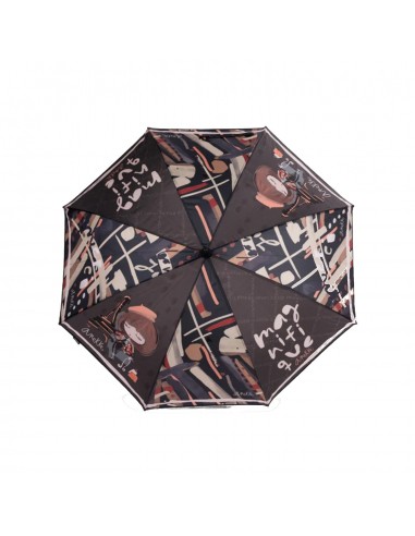 41493-200  paraguas L anek