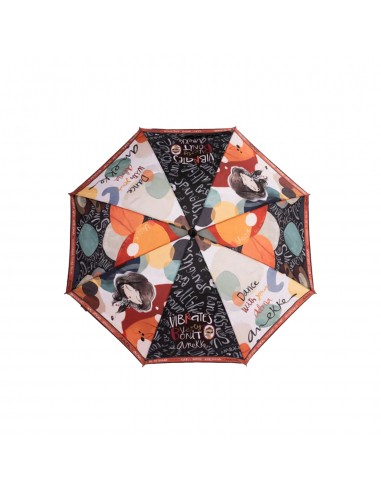 41493-000 paraguas PEQ .ANEK