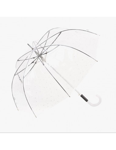 34250 transp L biset