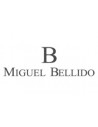 Miguel Bellido